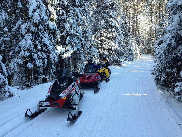 Beautiful Trails