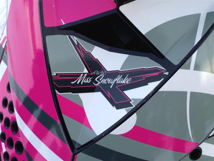 Ms Snowflake Logo