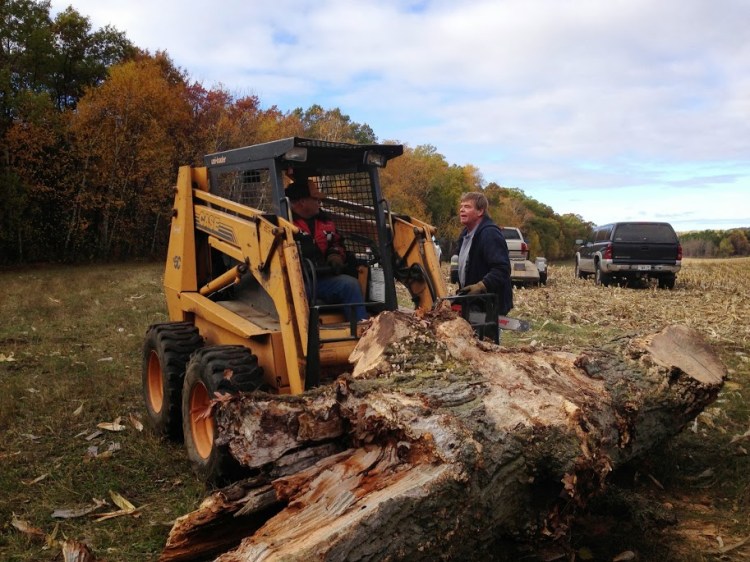 20131026 Woodcutting- 5skidsteer