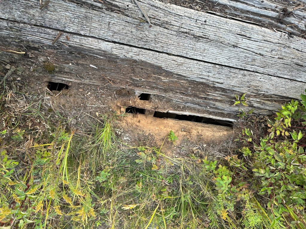 Decking that has rotted and needed replacing